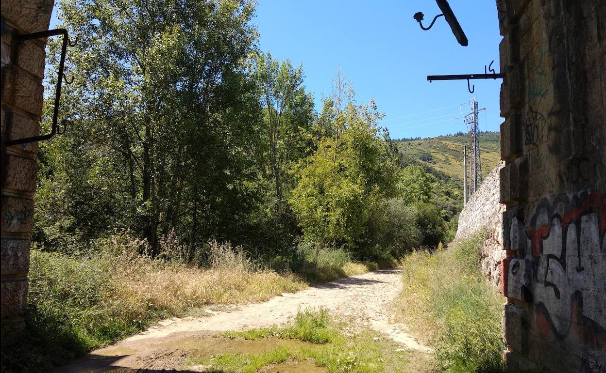 Senda fluvial en la margen derecha del río Sil en Ponferrada.