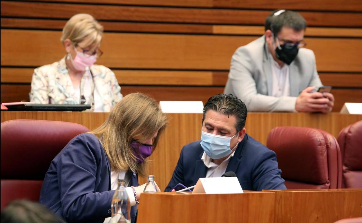 Pablo Fernández y Luis Mariano Santos conversan en el Pleno. 