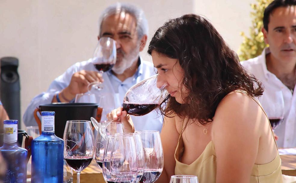 alificación de la añada 2020 de los vinos DO de León