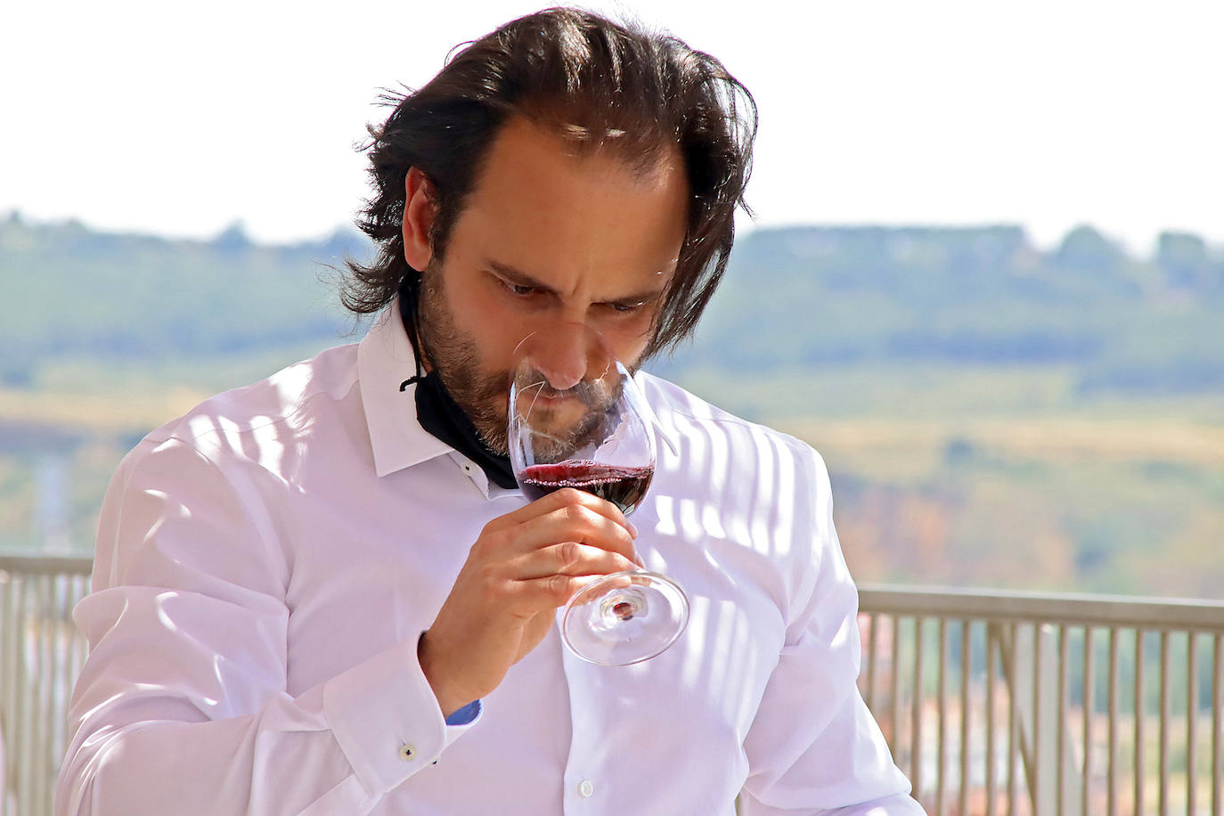 Calificación de la añada 2020 de los vinos DO de León