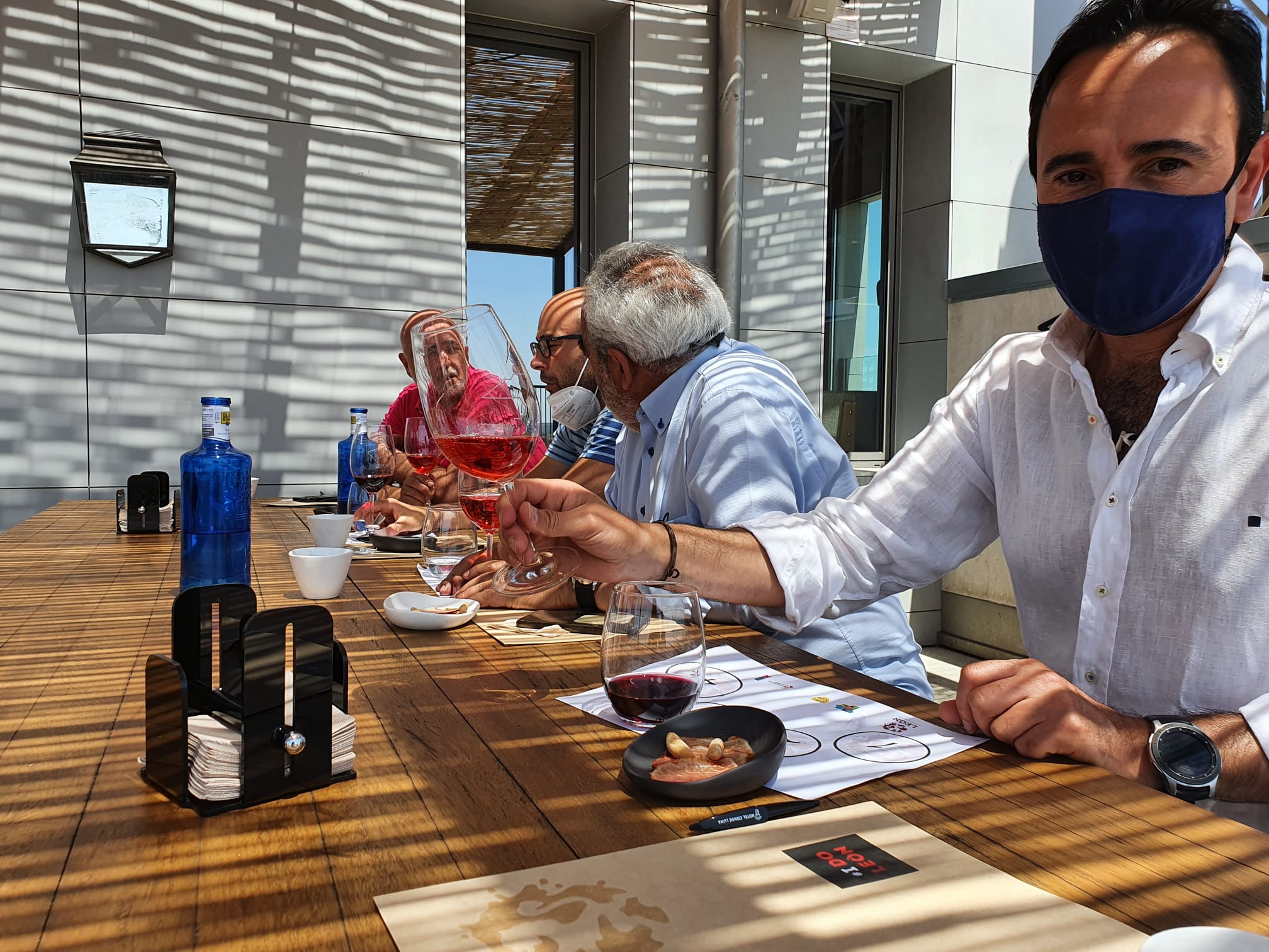 Calificación de la añada 2020 de los vinos DO de León