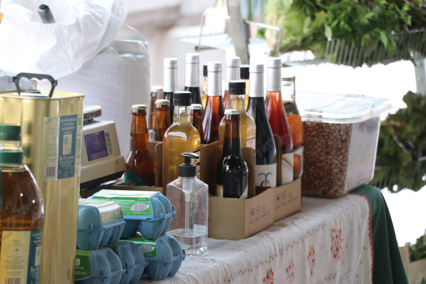 León invita en el Mercado del Conde Luna a adentrarse en este mundo.