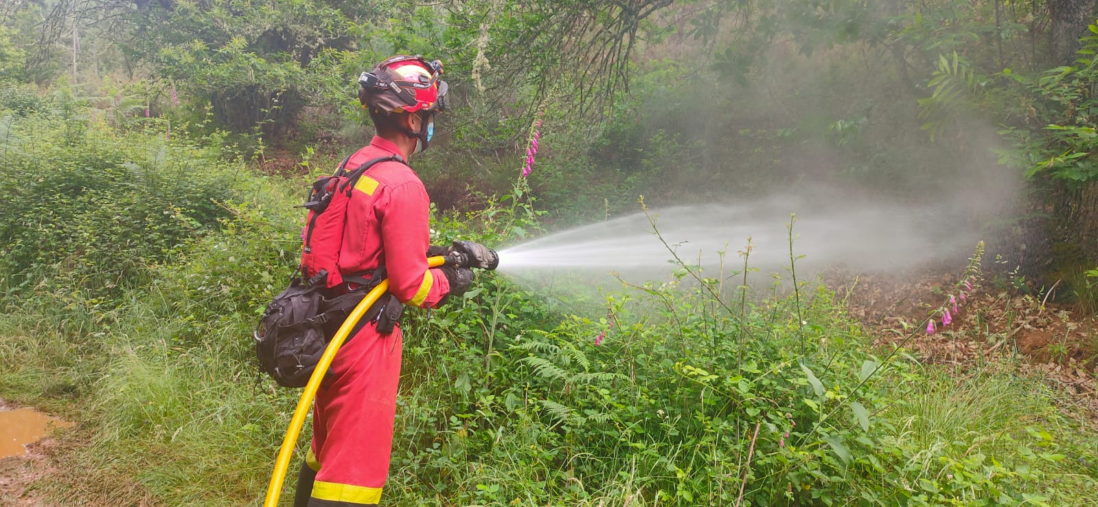 Cerca de 140 militares y medio centenar de vehículos participan en el ejercicio de instrucción y adiestramiento de Lucha Contra Incendios Forestales (LCIF) en El Bierzo que se extiende hasta este miércoles. 