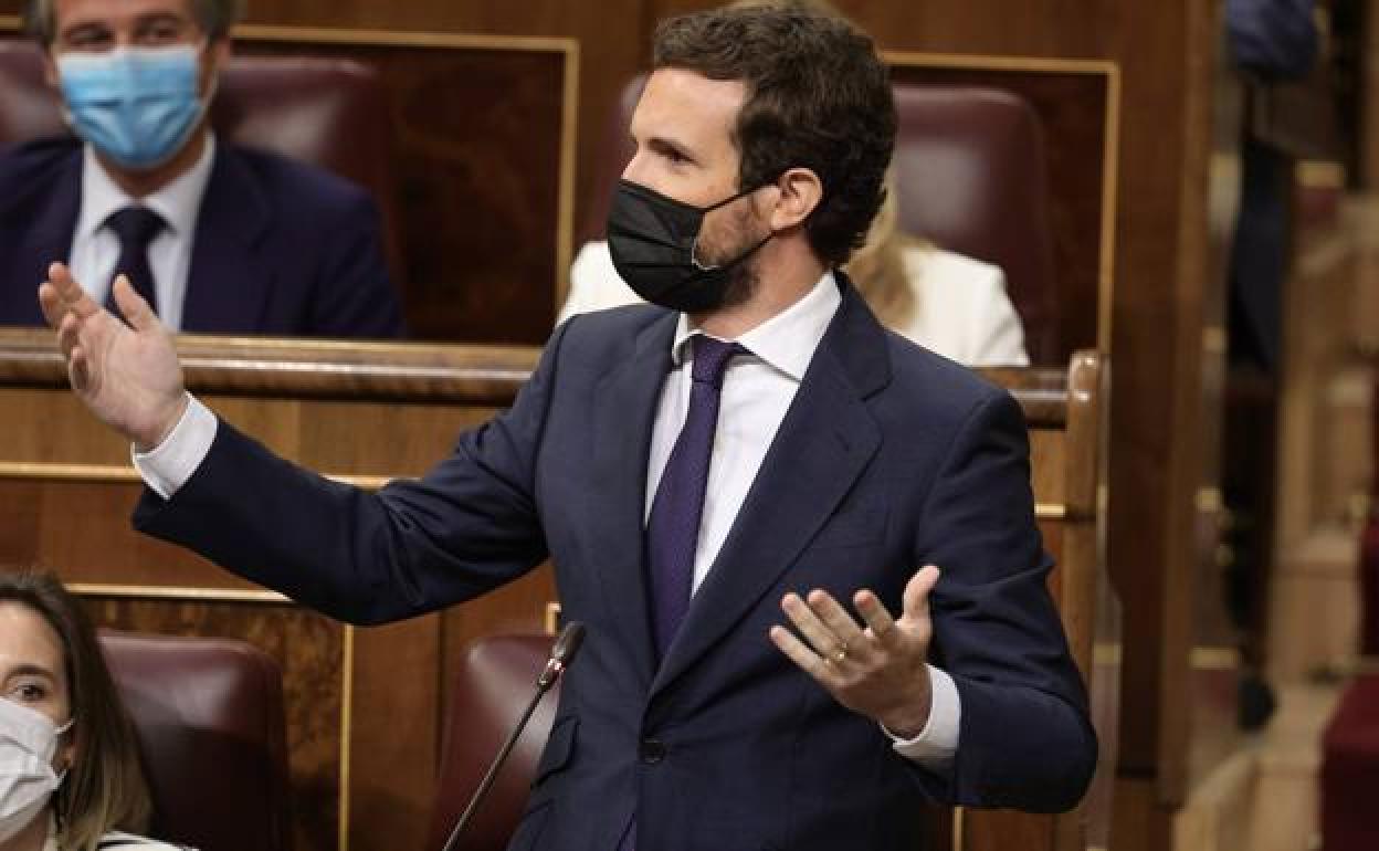 Pablo Casado, presidente del Partido Popular. 