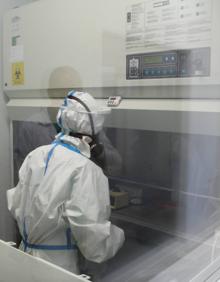 Imagen secundaria 2 - En la sala blanca del laboratorio de Agrovet estudian las muestras para hacer las PCR.