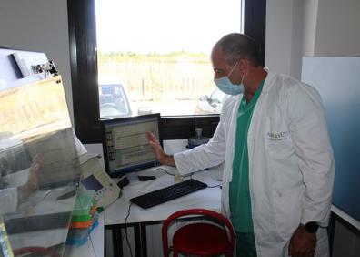 Imagen secundaria 1 - En la sala blanca del laboratorio de Agrovet estudian las muestras para hacer las PCR.