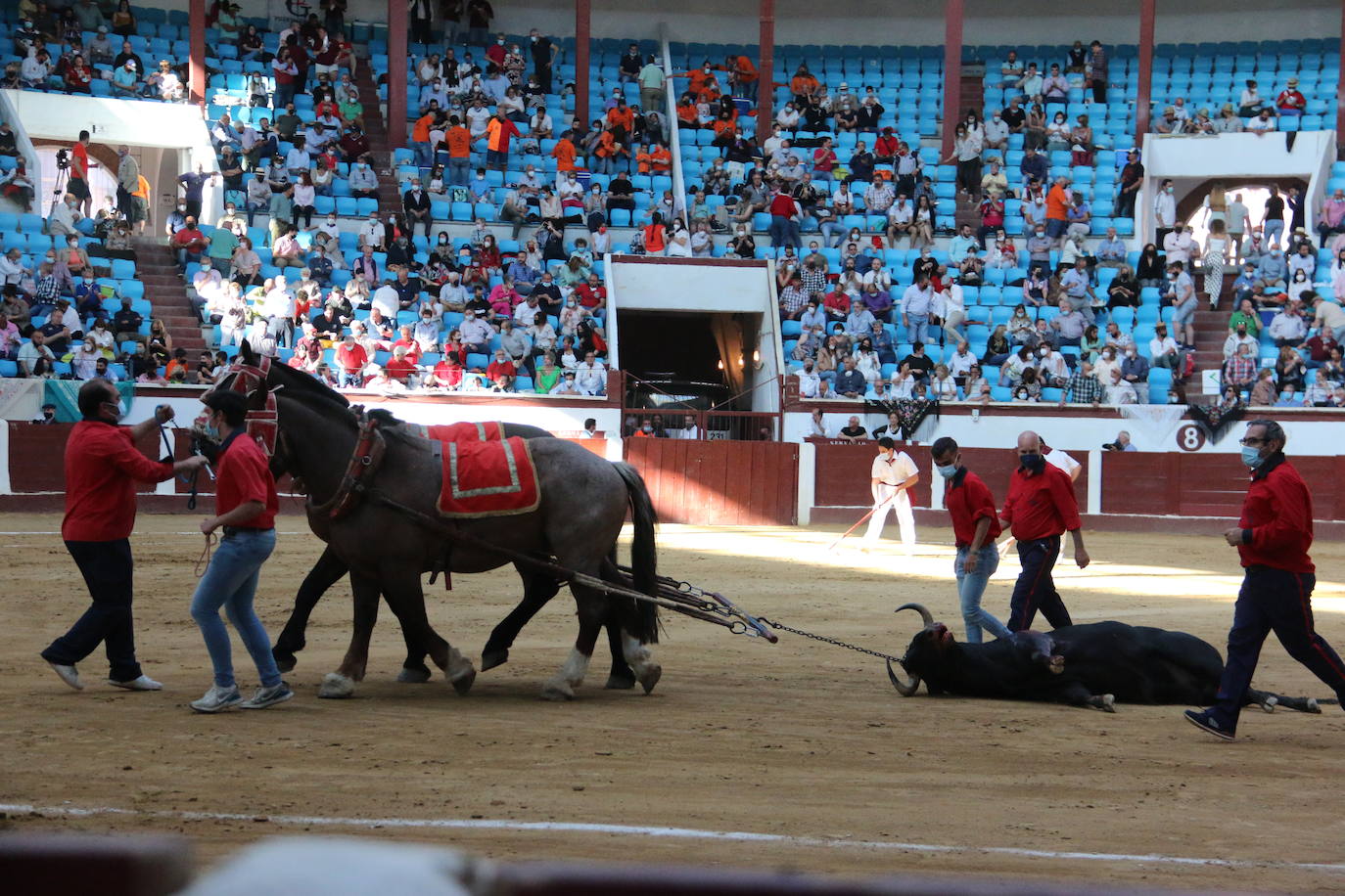 Fotos: Las mejores imágenes del Fandi en la plaza de torros de León