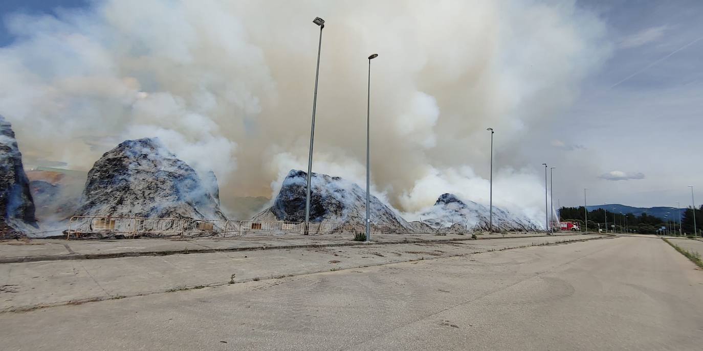 Fotos: Incendio en Forestalia, en Cubillos del Sil