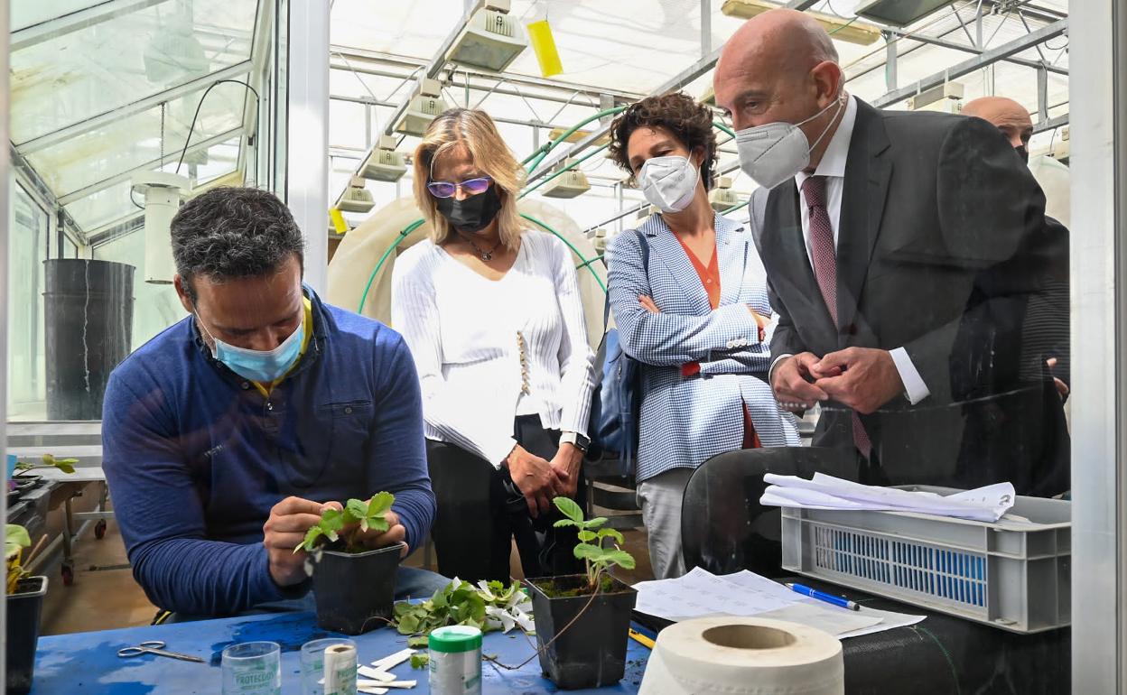 El consejero de Agricultura en las instalaciones del Itacyl, esta mañana. 