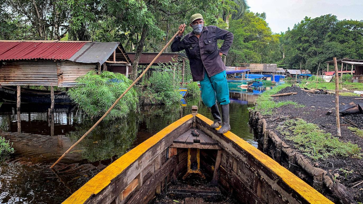 Los campesinos cubanos del Parque Nacional Ciénaga de Zapata, en Cuba, elaboran carbón vegetal con los mismos métodos y utensilios que sus antepasados, pero replantando árboles cortados.