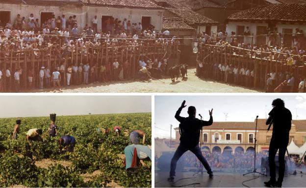 Suelta de reses bravas en la plaza de toros del municipio hace años. Debajo, tareas de vendimia en un majuelo de la localidad y actuación musical durante la Fiesta del Verdejo.