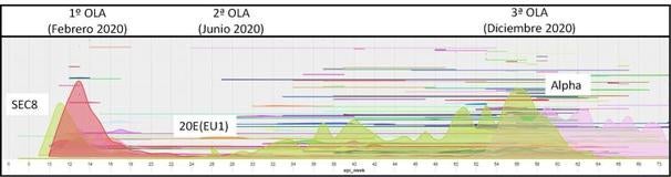 Figura 1. Variantes detectadas en España desde las primeras introducciones de SARS-CoV-2 (cada color es una variante). En la gráfica (para más detalle consultar en seqcovid.csic.es) se resalta el inicio de cada una de las tres principales olas en España y de las variantes asociadas y discutidas en este trabajo.