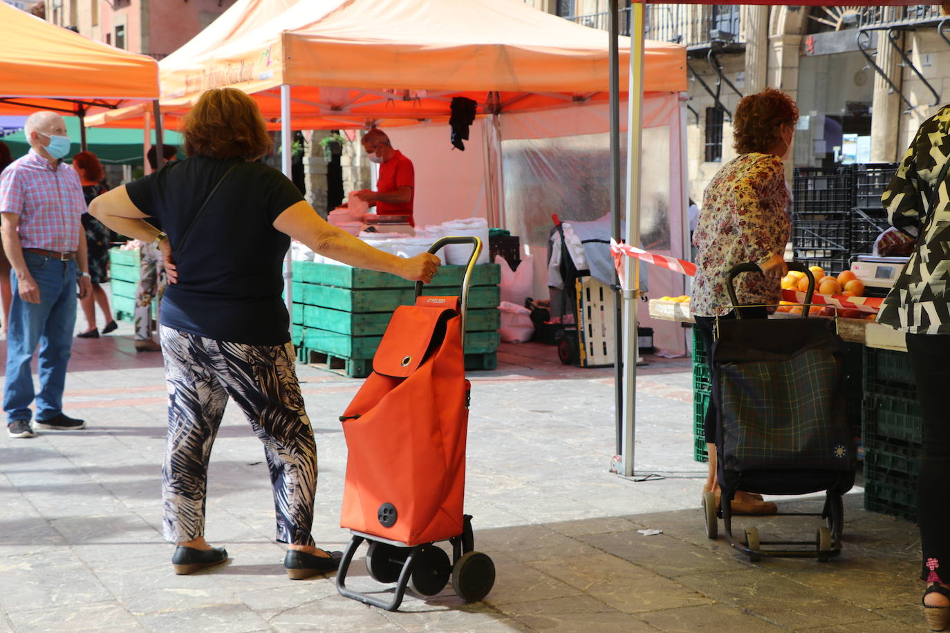 Fotos: De la huerta a la mesa, pasando por el mercado