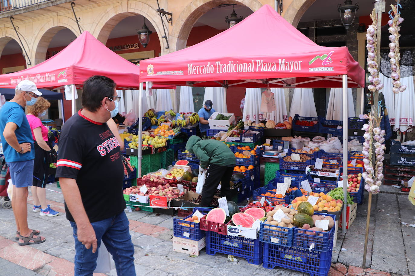 Fotos: De la huerta a la mesa, pasando por el mercado