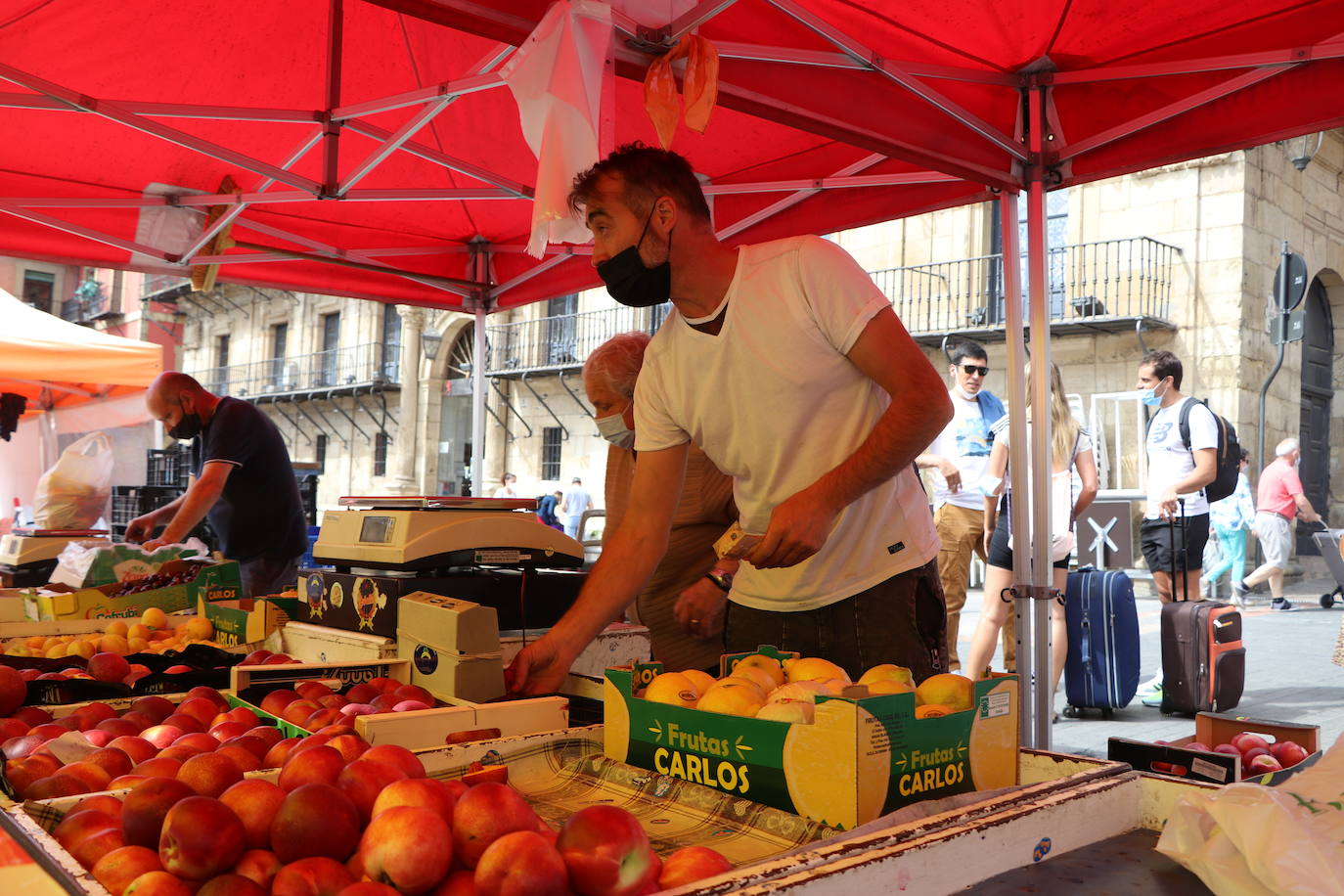 Fotos: De la huerta a la mesa, pasando por el mercado