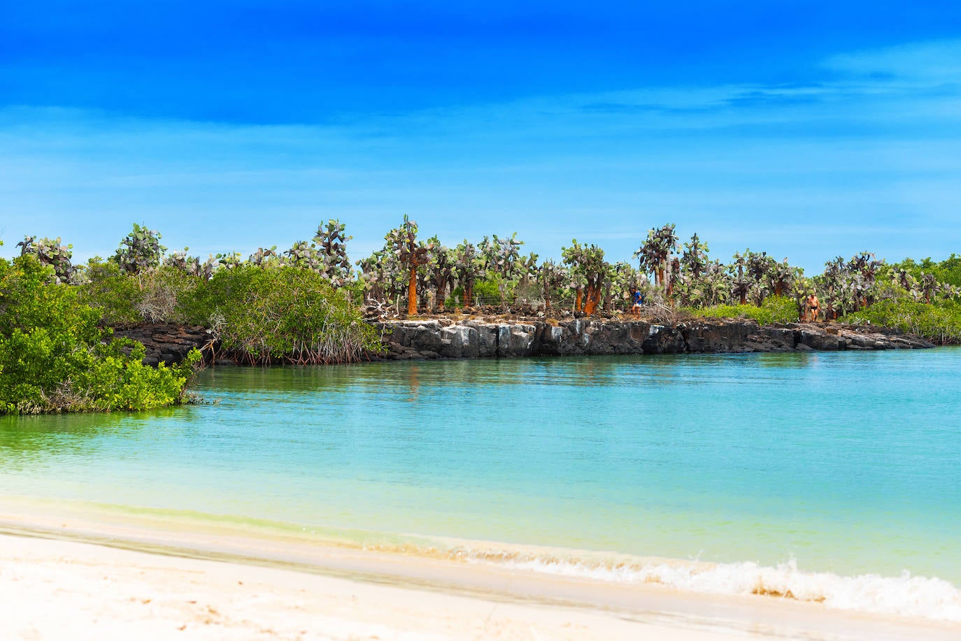 Isla Santa Cruz (Ecuador) 