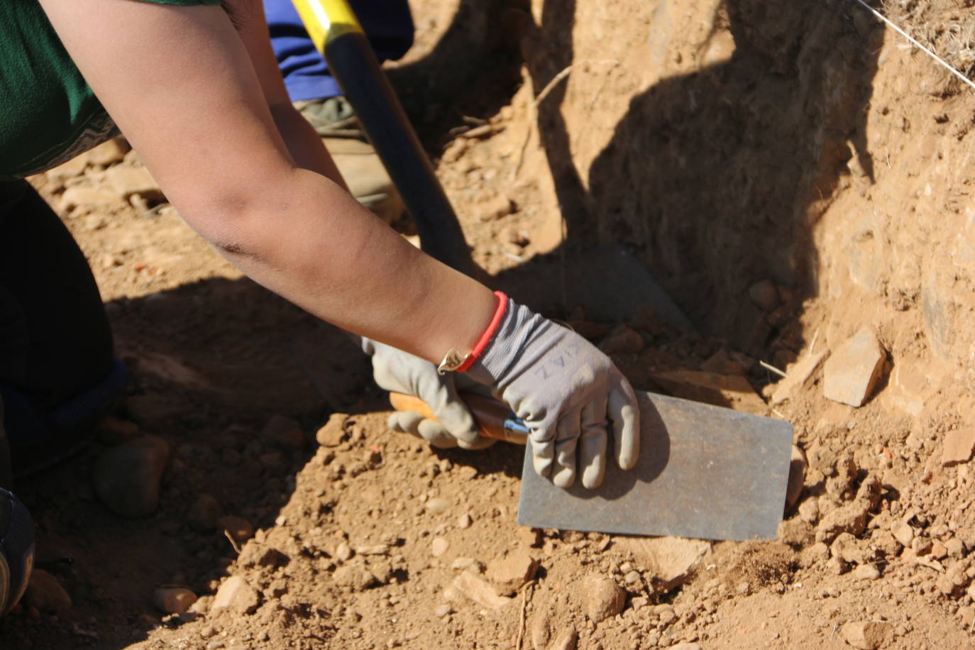 La excavación en imágenes. 