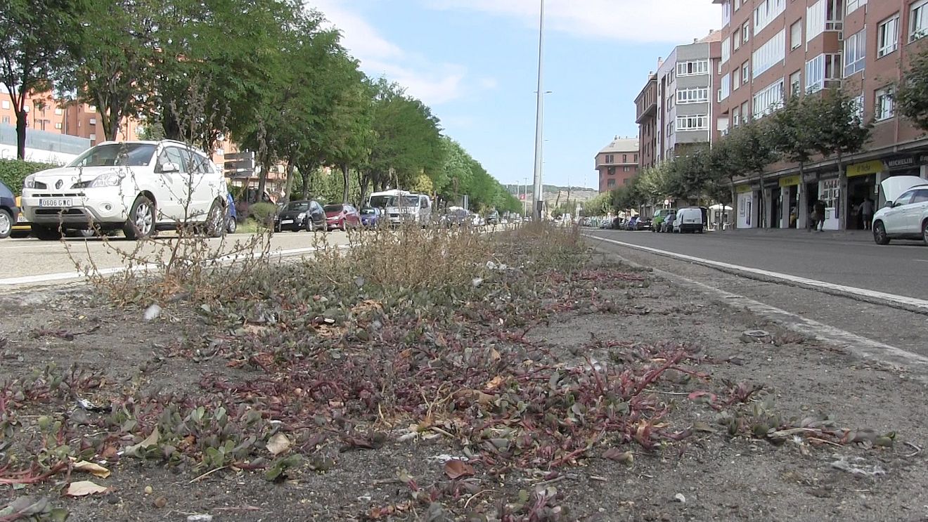 La inversión se asumirá con una aportación de la junta de 160.000 euros | Contemplará mejoras en aceras, pasillo central, mobiliario urbano y un nuevo paso de peatones directo hacia el Polígono X desde la calle Francisco Molleda. 