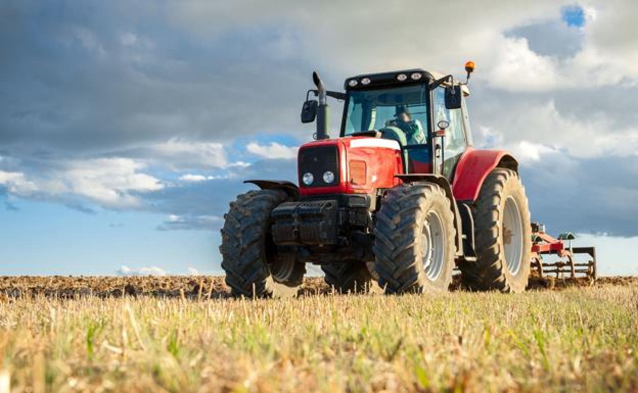 Un agricultor realiza labores agrícolas. 
