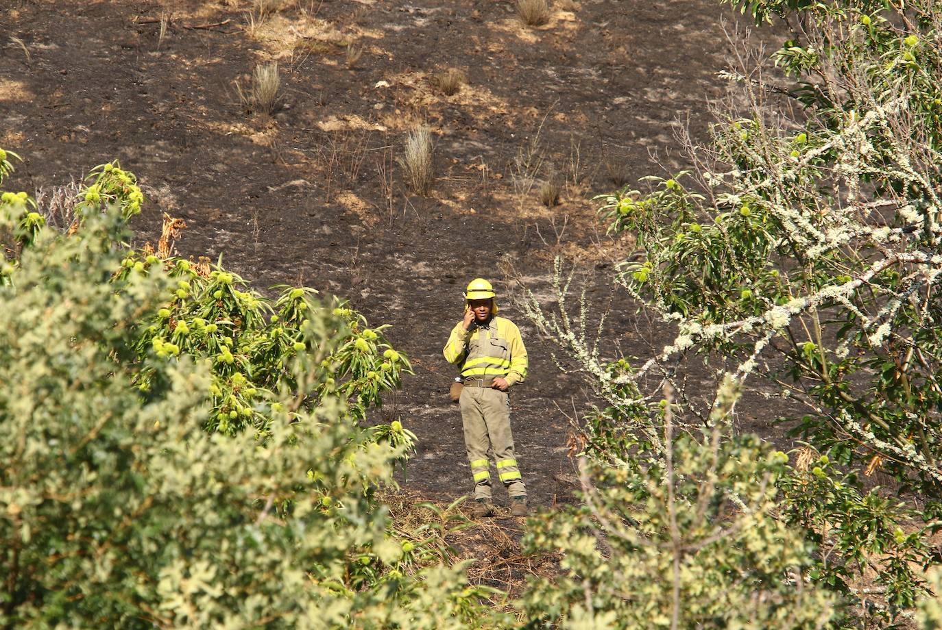 Un incendio declarado de 'nivel 1' en Trabadelo obliga a movilizar a numerosos efectivos. La declaración de 'nivel 1' se produce ante la previsión de una necesidad superior a las 12 horas para que puda ser sofocado o afección a más de 30 hectáreas. 