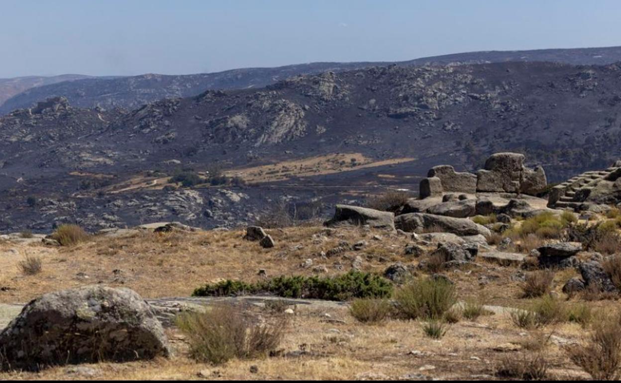 Consecuencias del incendio de Navalacruz.