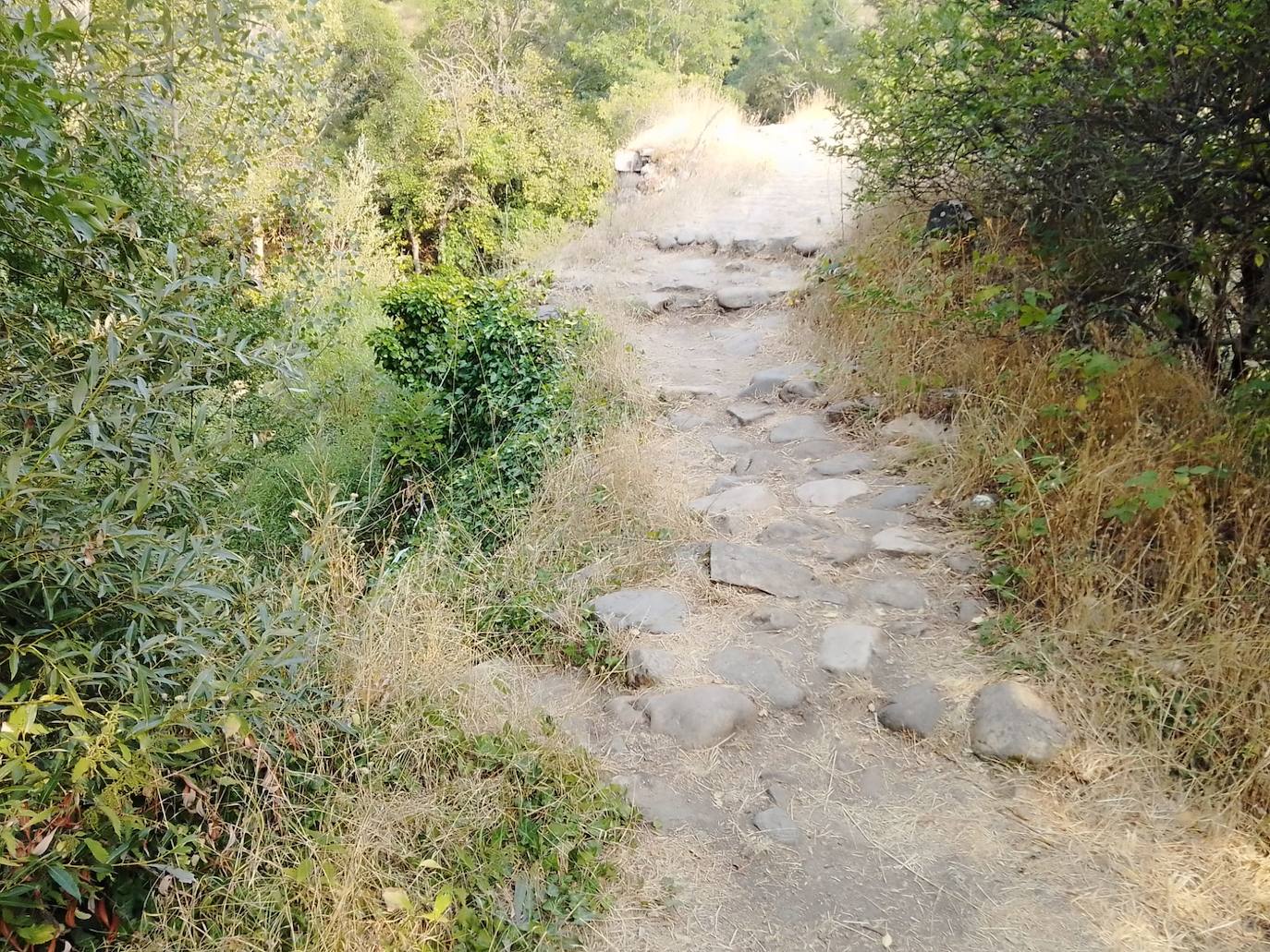 Estado actual del Puente Villalfeide.