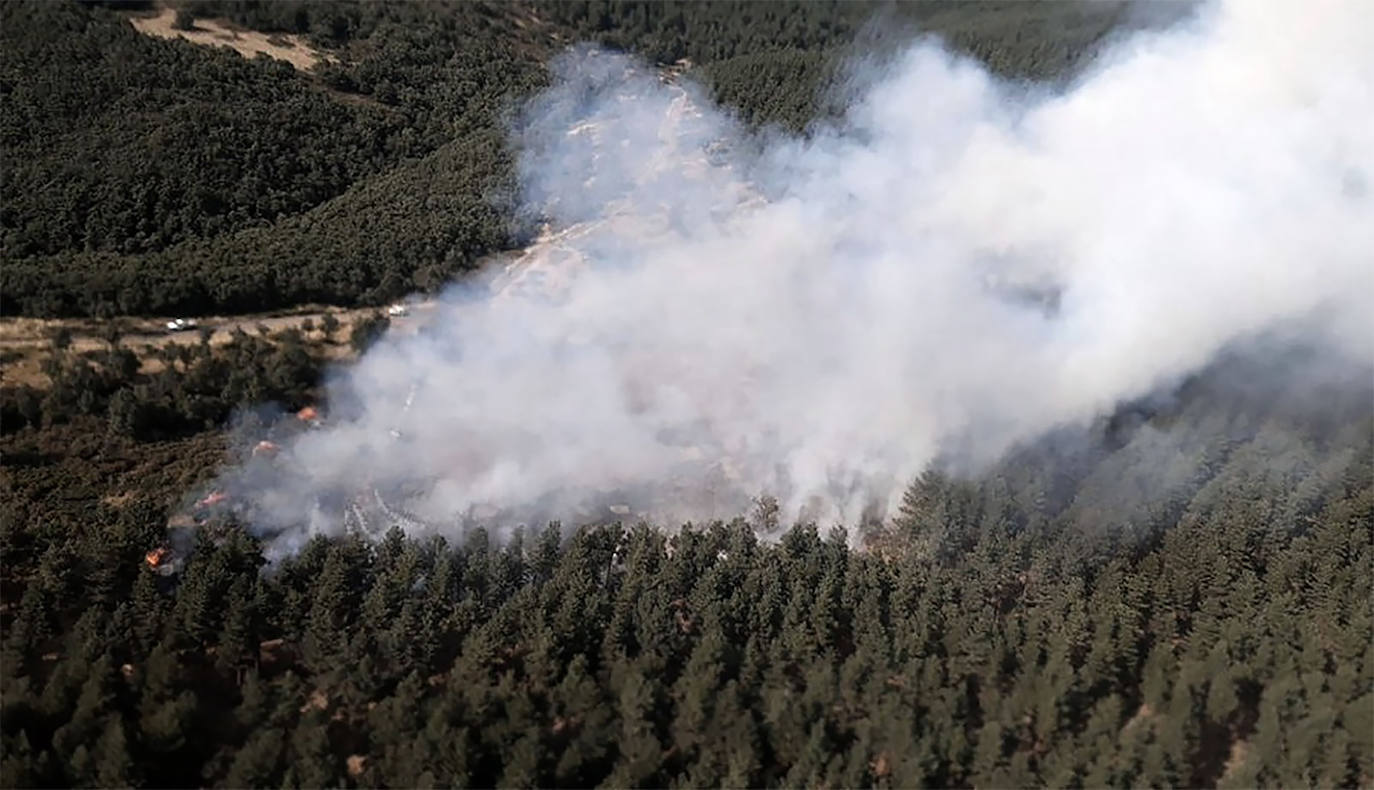 El fuego declarado en Cueva de Ágreda (Soria) arrasa 3,4 hectáreas de arbolado