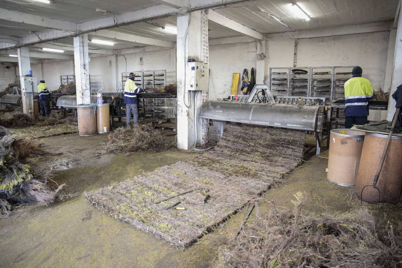 El consejero de Fomento y Medio Ambiente, Juan Carlos Suárez-Quiñones, visita la fábrica 'León Brezo Ecológico' en Brañuelas. Le acompañan, el presidente de la Diputación, Eduardo Morán y la alcaldesa del municipio, Carolina López