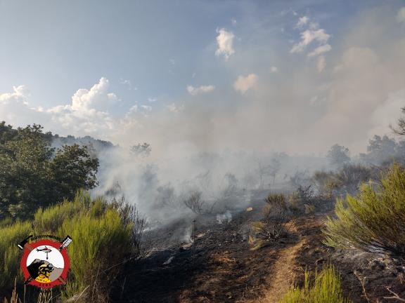 Dos helicópteros y varios medios terrestres luchan contra un incendio en Riocastrillo de Ordás