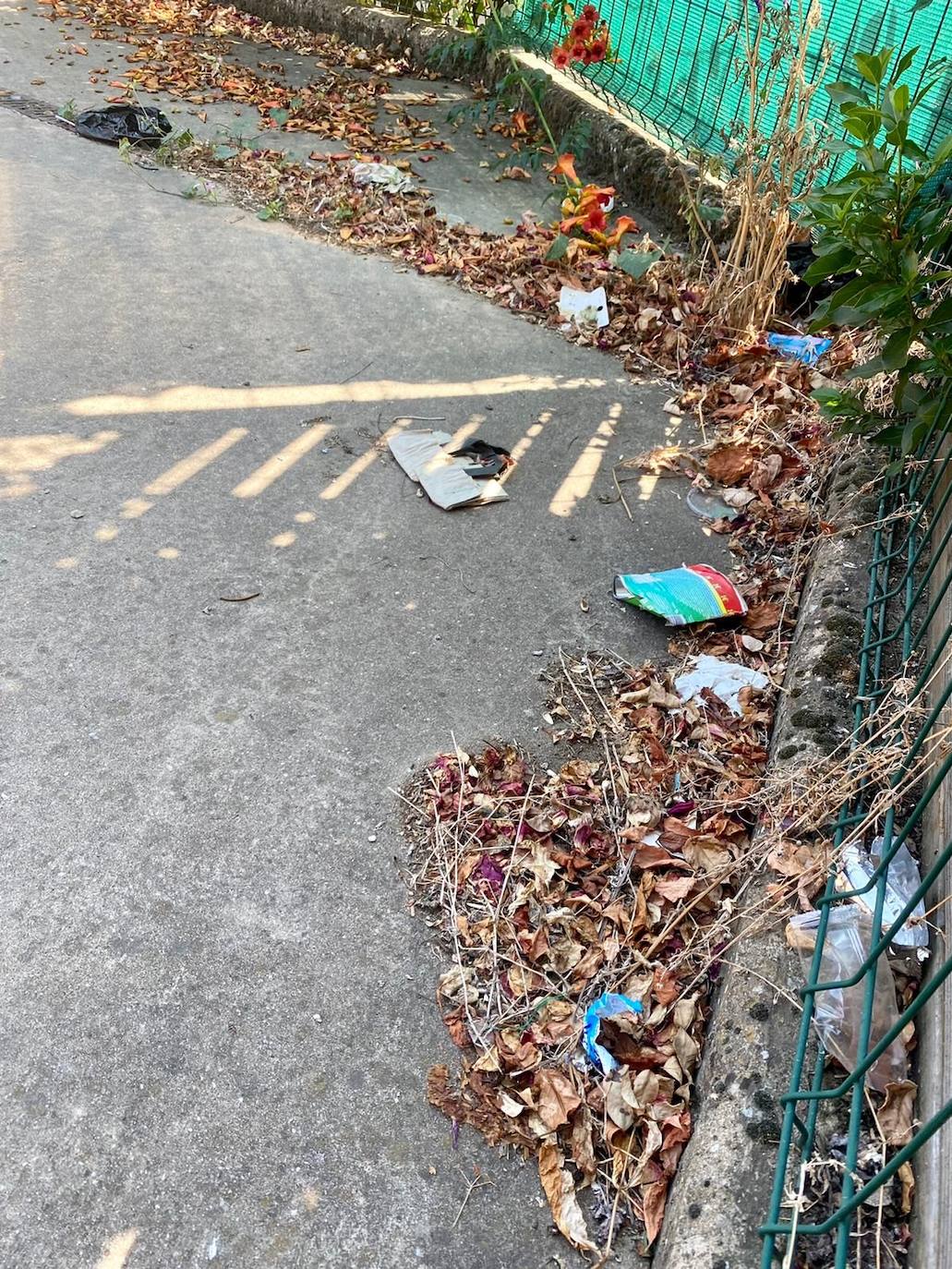 El PP denuncia el abandono y suciedad de Pradillo, Venta de la María y El Viento.