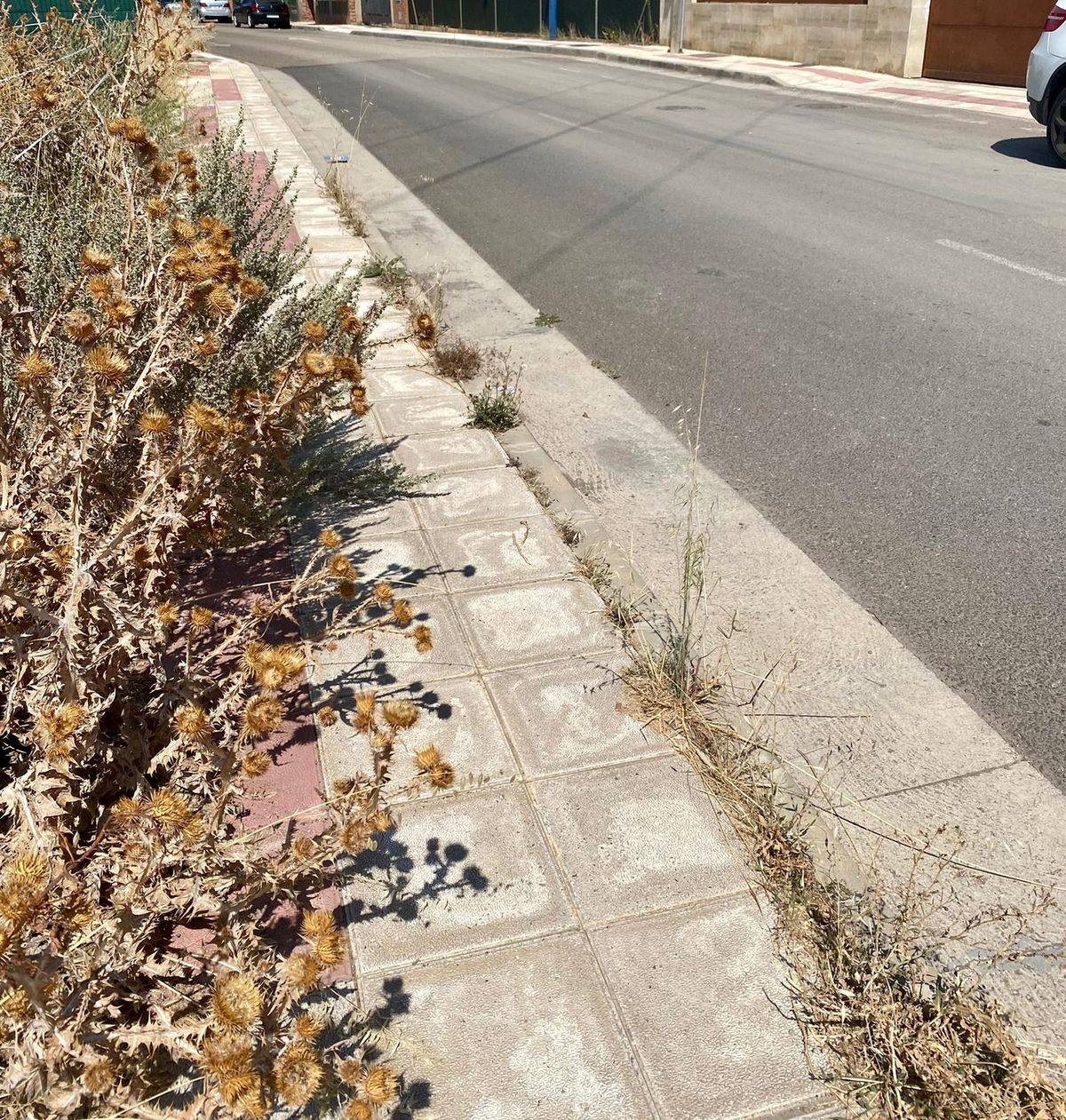 El PP denuncia el abandono y suciedad de Pradillo, Venta de la María y El Viento.