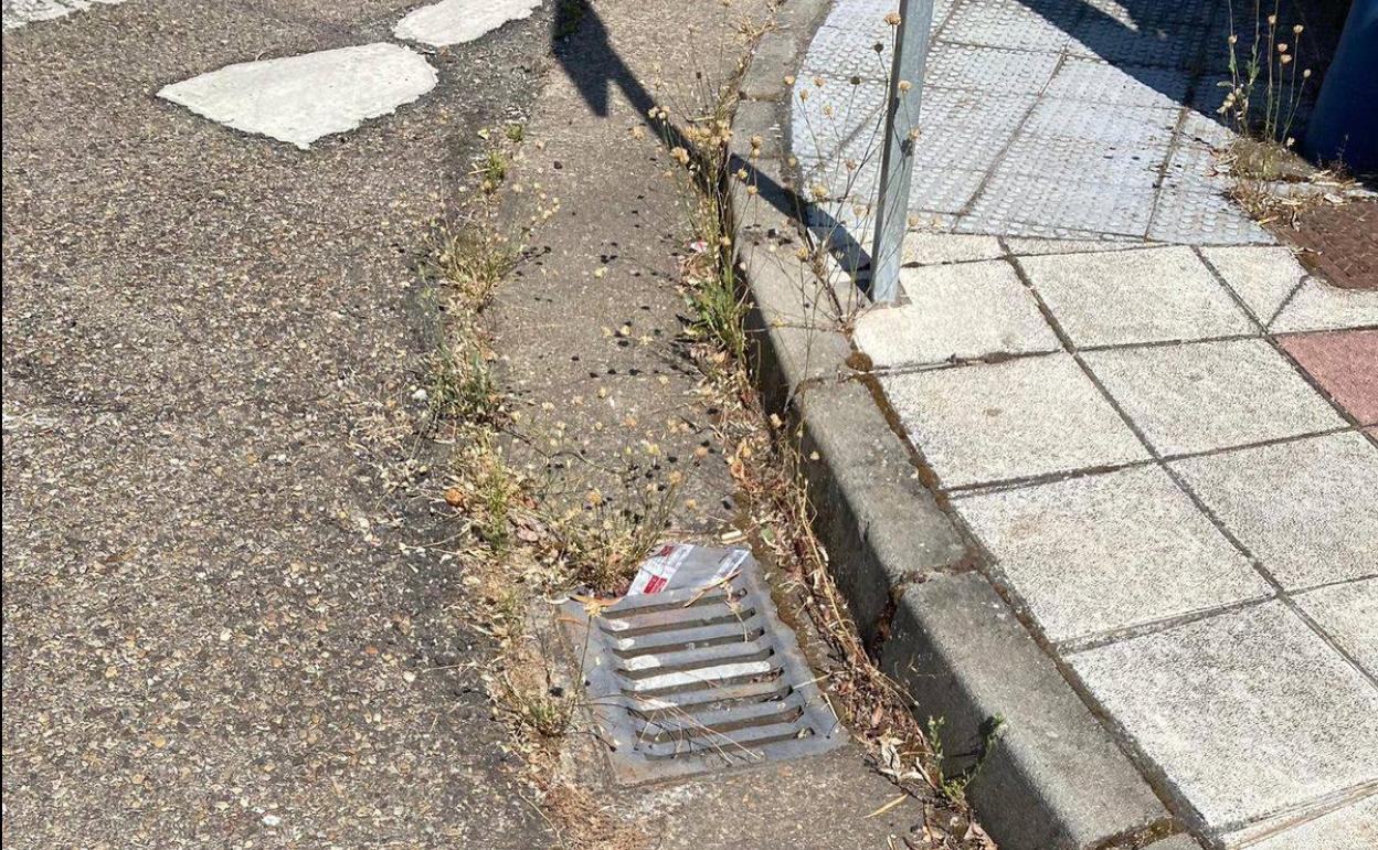 Imagen de una de las zonas que denuncia el PP de San Andrés.