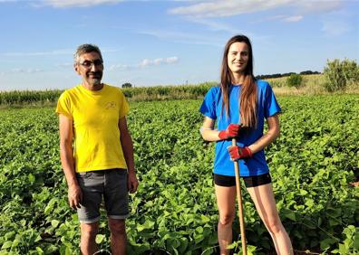 Imagen secundaria 1 - Un proyecto de las Becas Ralbar mejorará la producción de judías de calidad