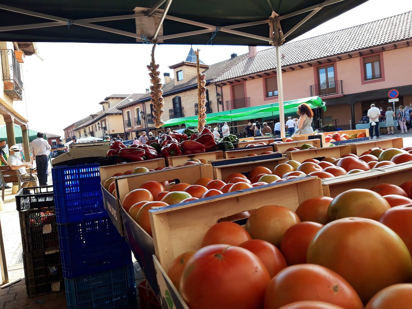 Feria del Tomate de Mansilla de las Mulas.