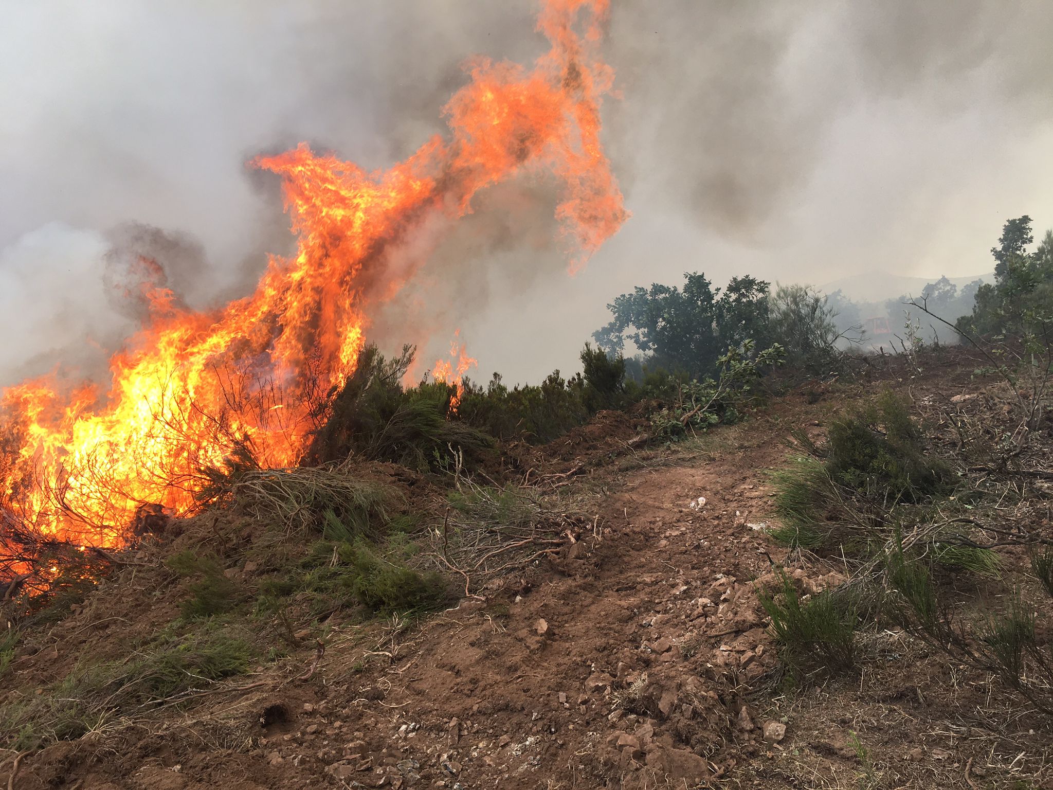 Medios aéreos y terrestres trabajan en las labores de extinción del incendio, cuyo origen se investiga, declarado en la madrugada de este lunes en el denominado Valle Estremero, e ntre los municipios leoneses de Riaño y Boca de Huérgano.