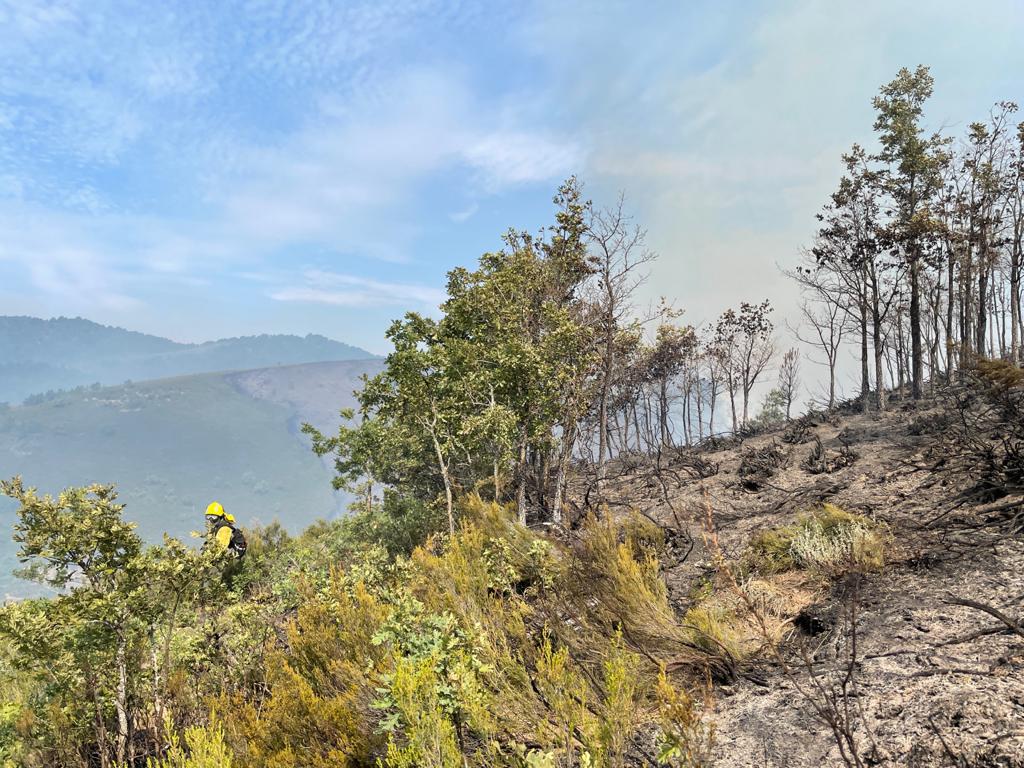 Medios aéreos y terrestres trabajan en las labores de extinción del incendio, cuyo origen se investiga, declarado en la madrugada de este lunes en el denominado Valle Estremero, e ntre los municipios leoneses de Riaño y Boca de Huérgano.