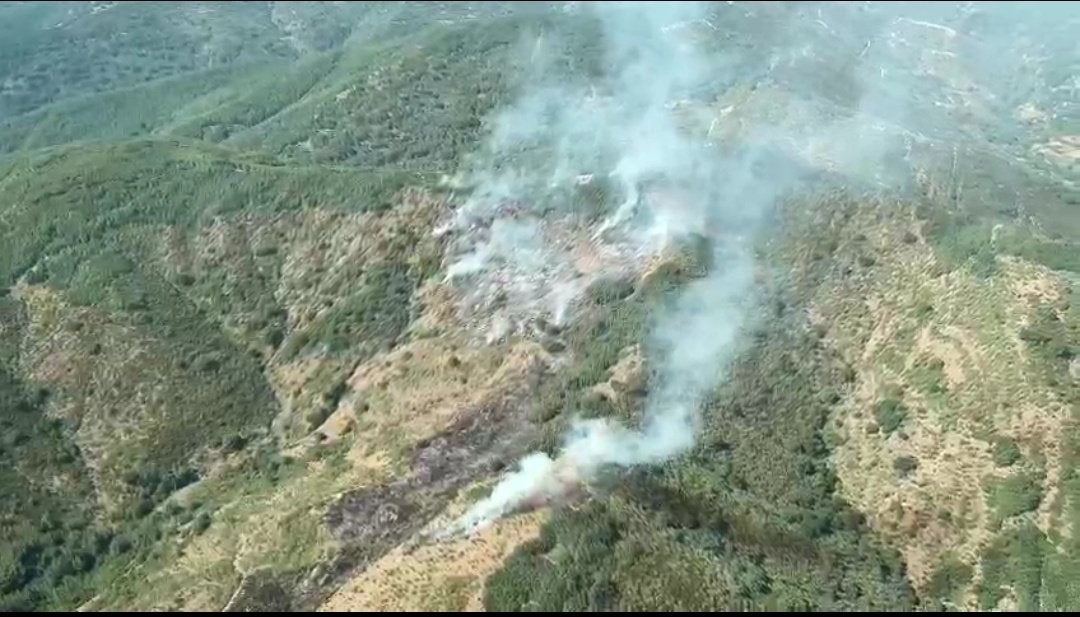 El fuego declarado en Serrilla ha sido catalogado de nivel 1.