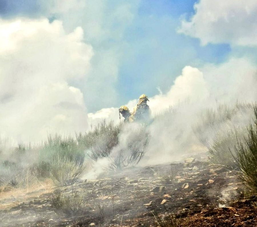 Medios aéreos y terrestres trabajan en las labores de extinción del incendio, cuyo origen se investiga, declarado en la madrugada de este lunes en el denominado Valle Estremero, e ntre los municipios leoneses de Riaño y Boca de Huérgano.