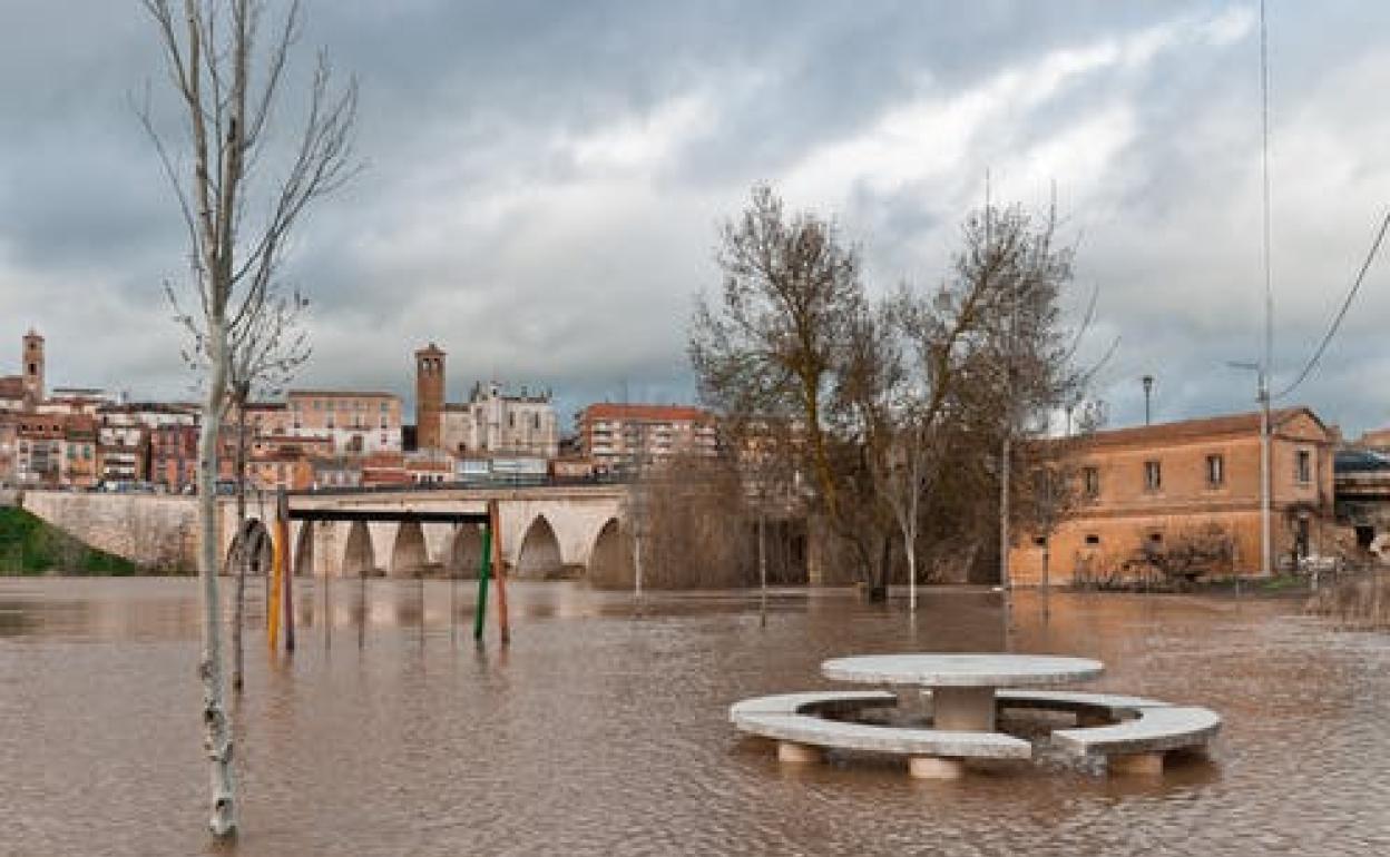 Parque inundado en Tordesillas (Valladolid). 