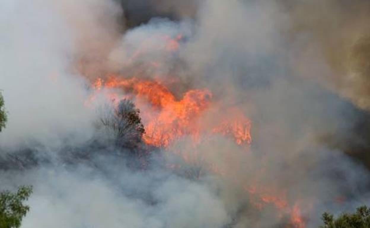 Imagen de archivo de un incendio forestal.