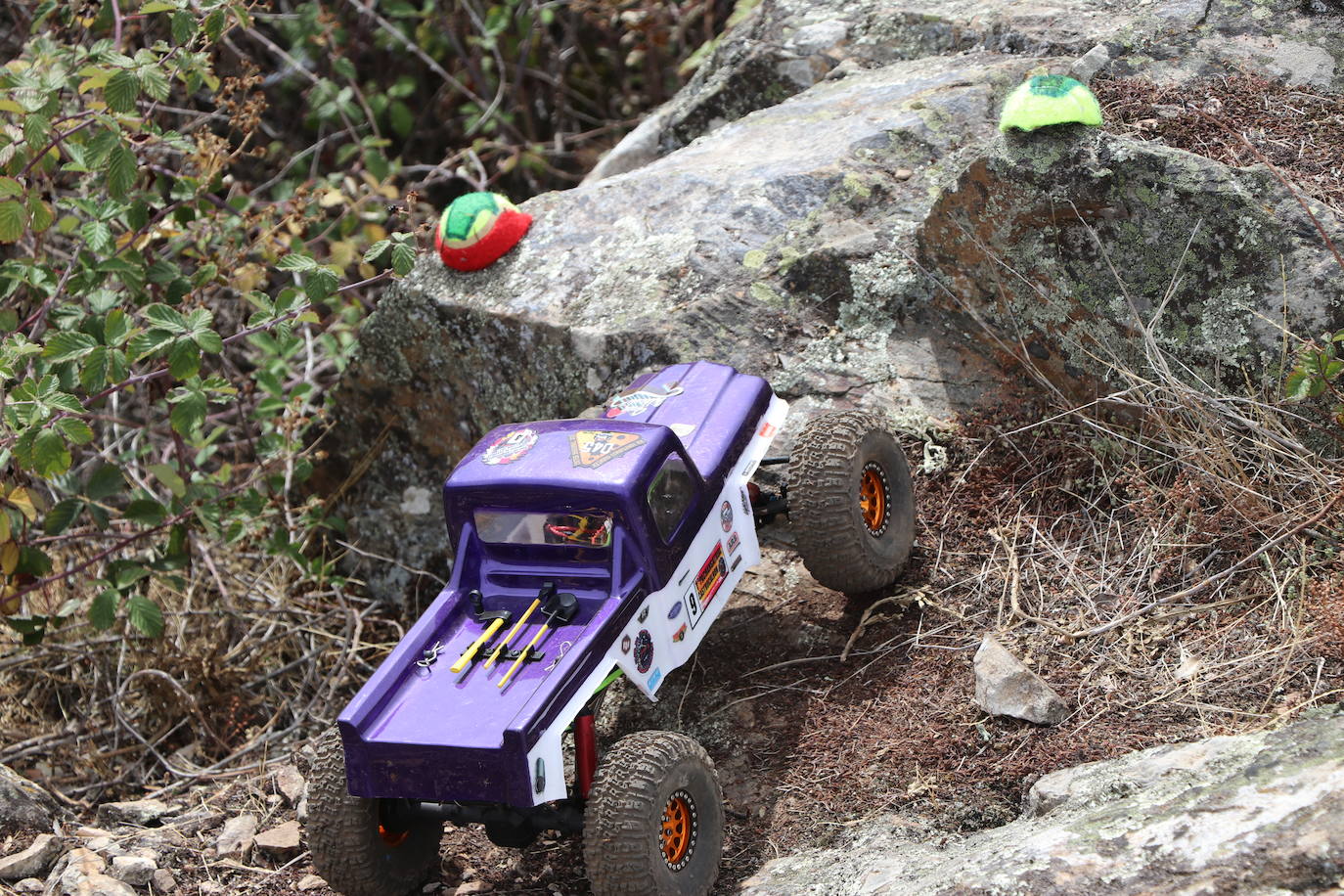 Fotos: La pasión por los coches de radiocontrol se vive en Castrotierra de la Valduerna