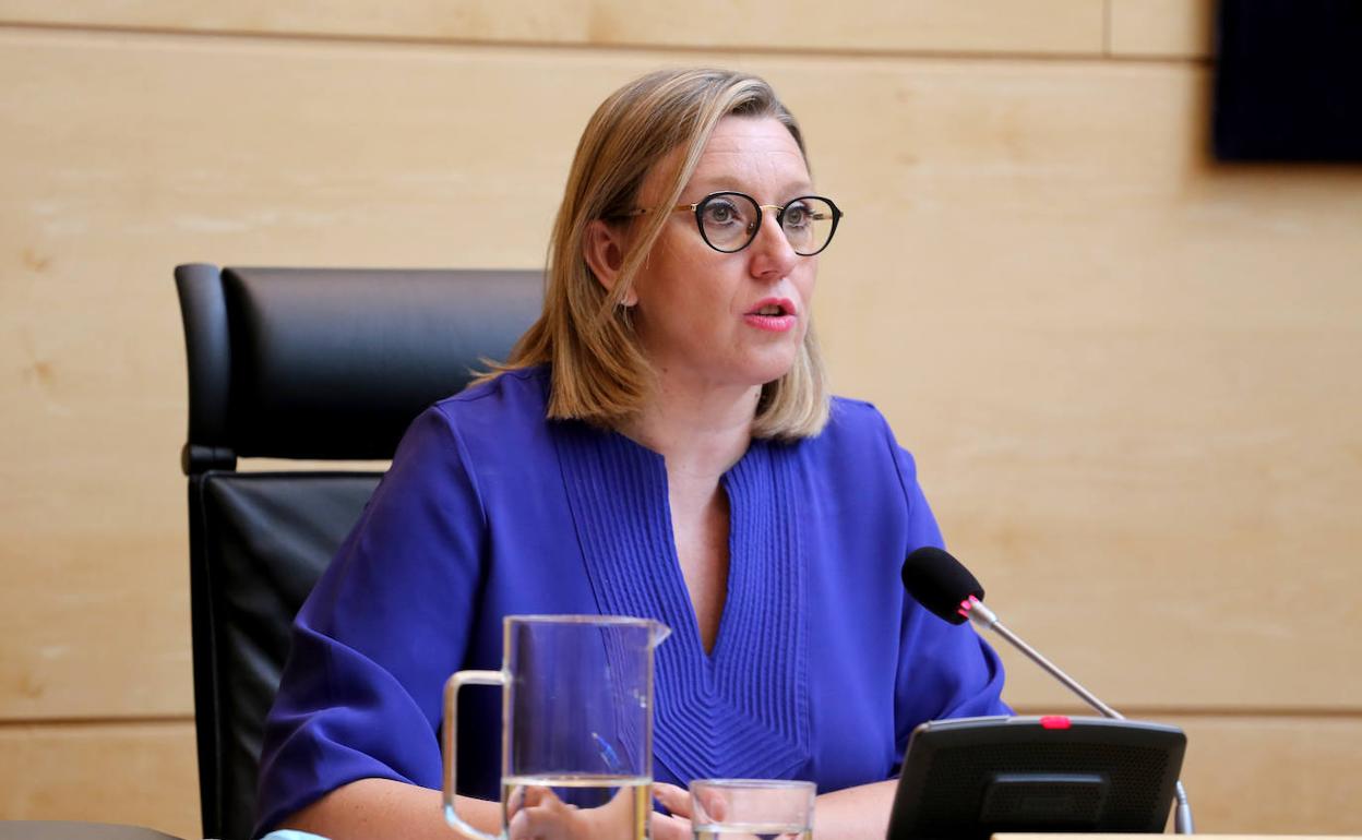 La consejera de Familia e Igualdad de Oportunidades, Isabel Blanco, comparece a petición propia para informar a la Comisión sobre el grado de cumplimiento de los objetivos de su departamento para la legislatura.