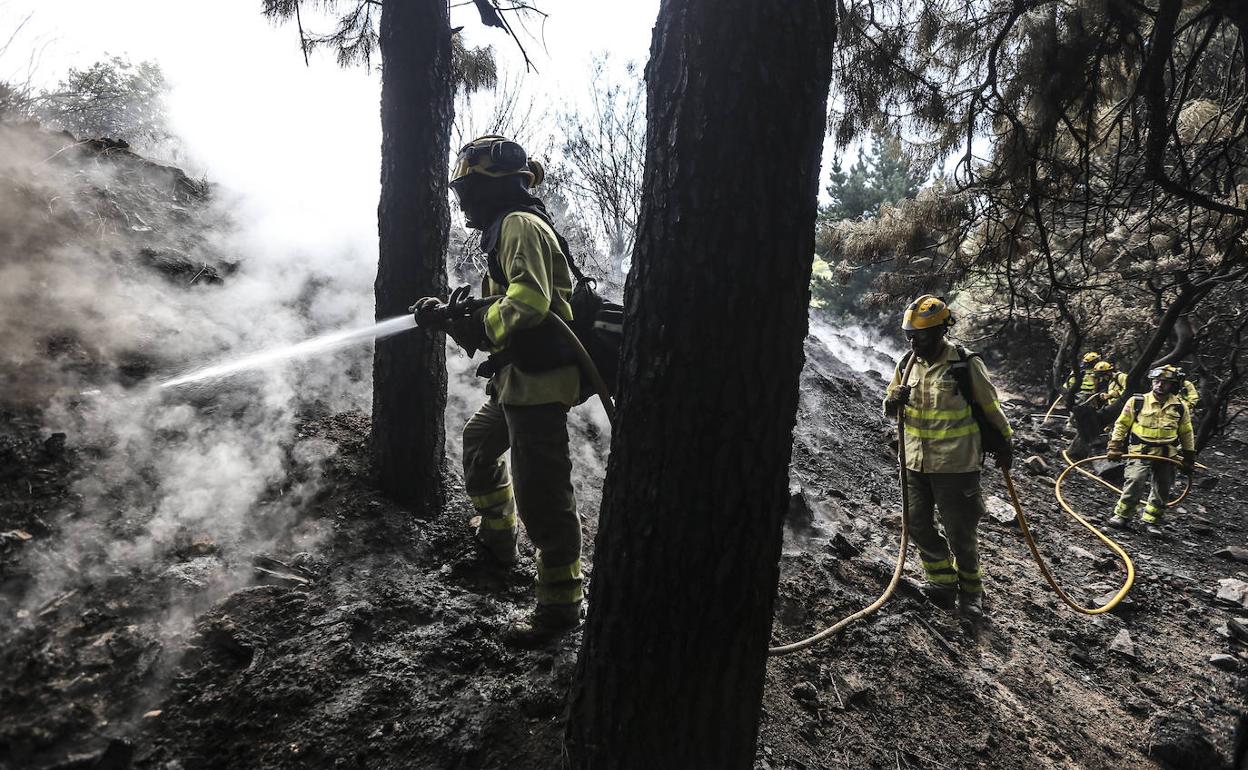 Efectivos de los bomberos de la Junta de Andalucía continúan las labores para evitar que el incendio se reproduzca. 