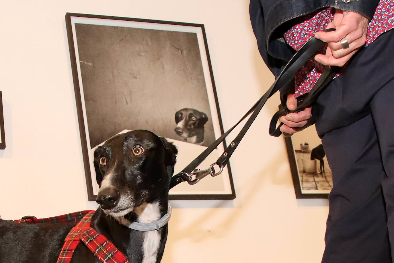 El alcalde de León, José Antonio Diez, preside el acto de inauguración de la muestra fotográfica Expositivos 21.