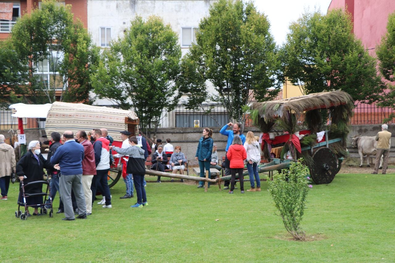 La romería se ha reanudado en este año tras un parón en 2020 por la pandemia con el ambiente festivo, el folclore y el colorido como protagonistas