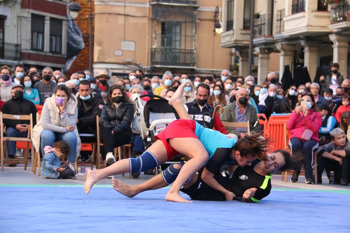 El tradicional corro de lucha de San Froilán vuelve a congregar a los aluches a los pies de la Pulchra Leonina.