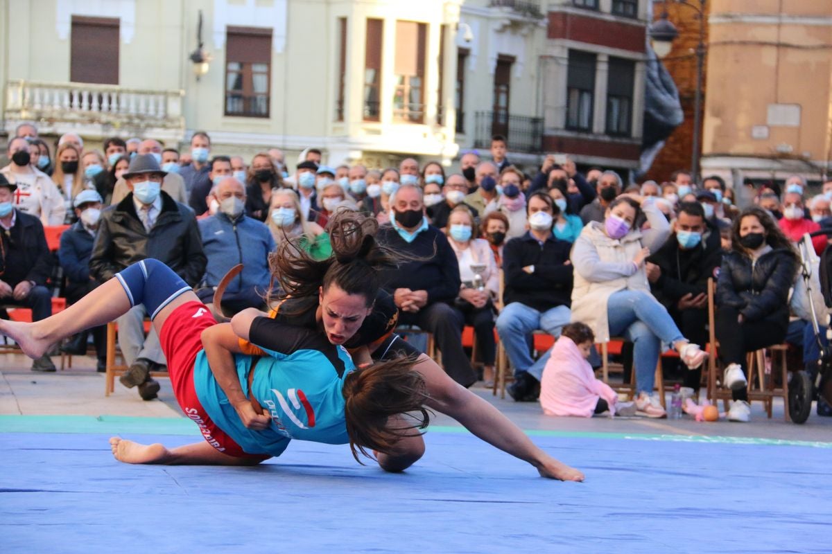 El tradicional corro de lucha de San Froilán vuelve a congregar a los aluches a los pies de la Pulchra Leonina.