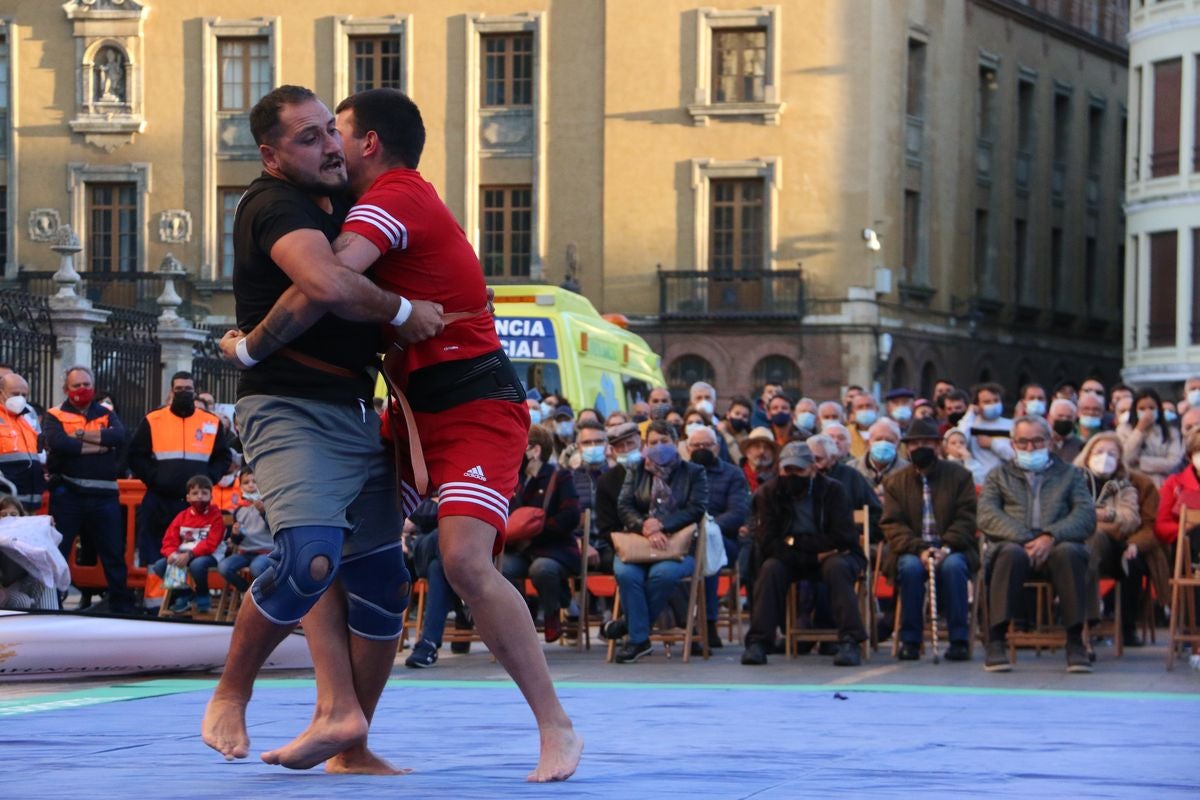 El tradicional corro de lucha de San Froilán vuelve a congregar a los aluches a los pies de la Pulchra Leonina.