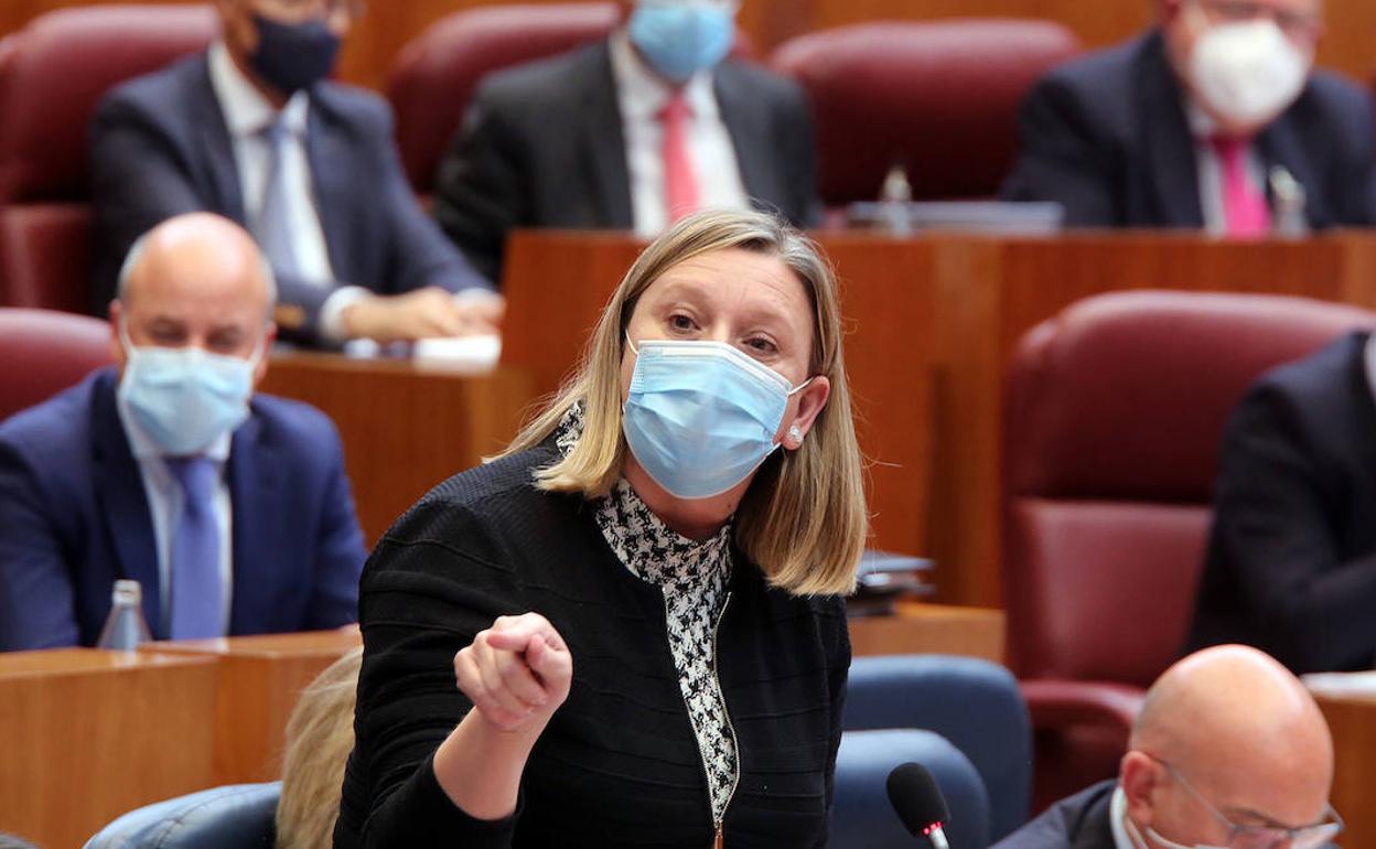 Isabel Blanco, durante el pleno de este martes. 