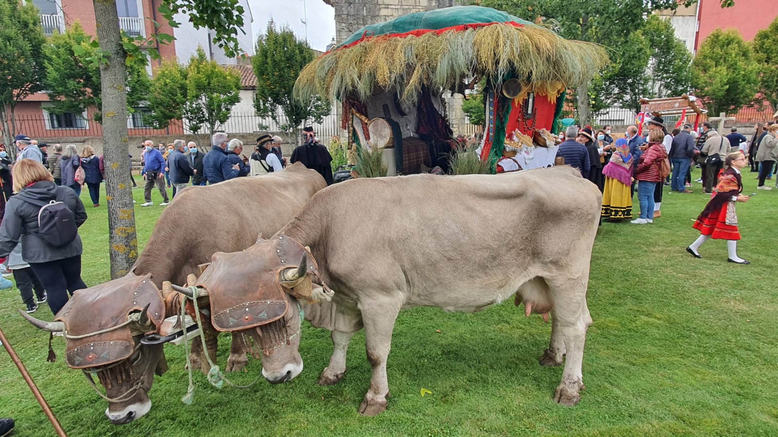 La romería se ha reanudado en este año tras un parón en 2020 por la pandemia con el ambiente festivo, el folclore y el colorido como protagonistas